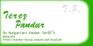 terez pandur business card